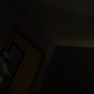 Meet your Posher, Elsa